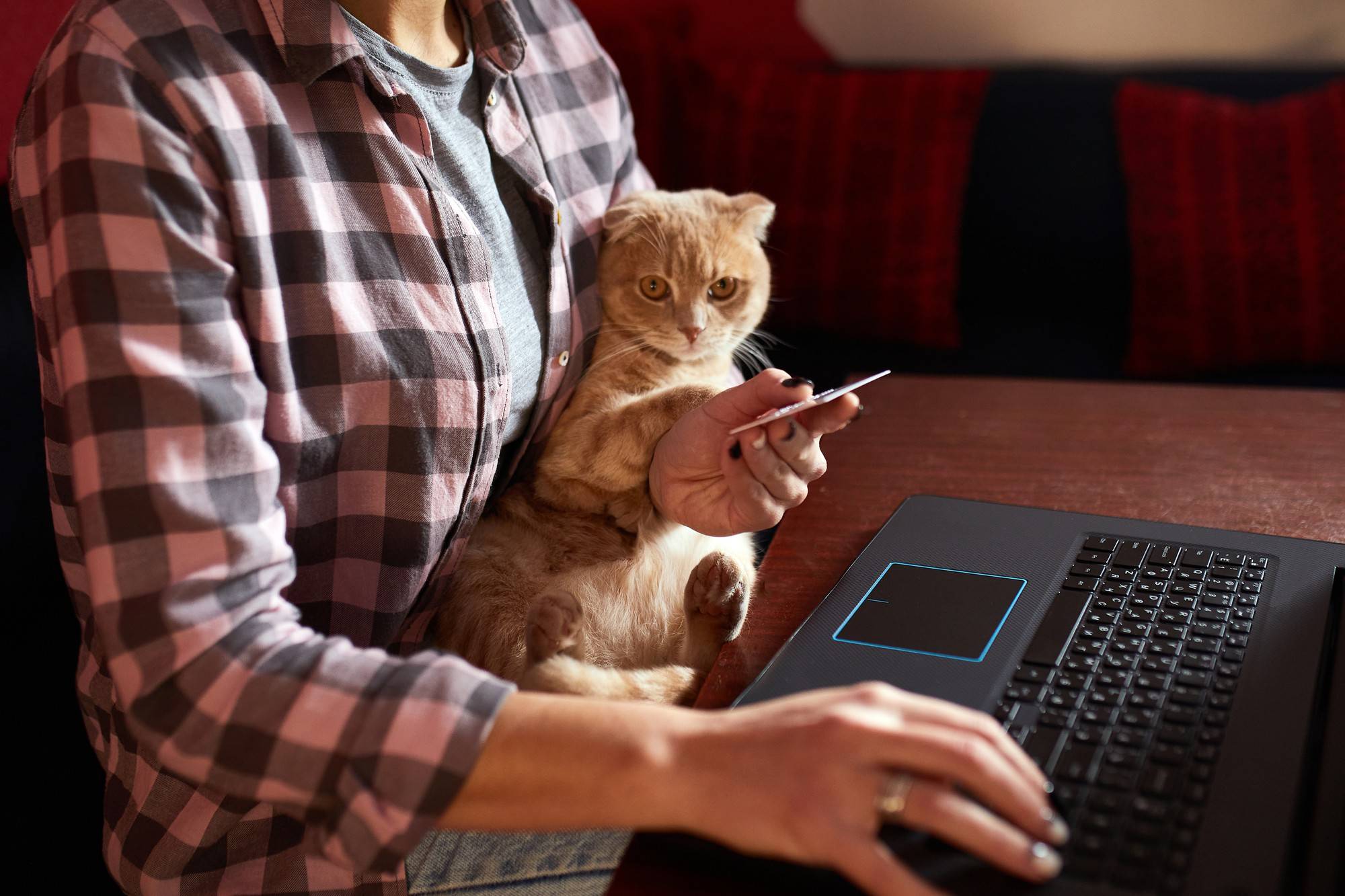 Cat S60 czy warto wybrać ten model na trudne warunki?