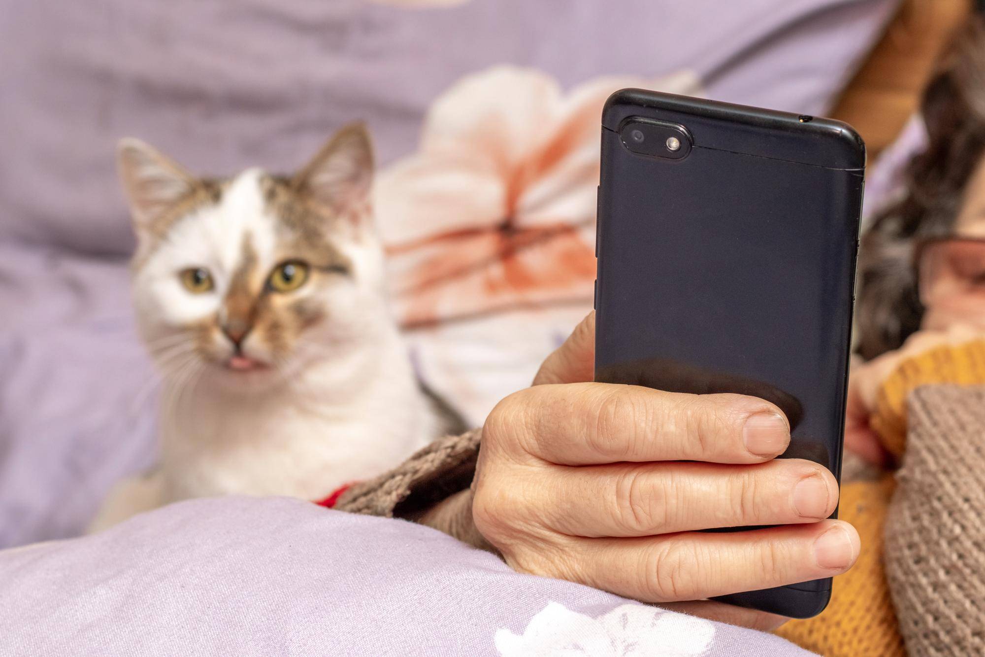 Cat S60 gdzie kupić telefon odporny na trudne warunki?