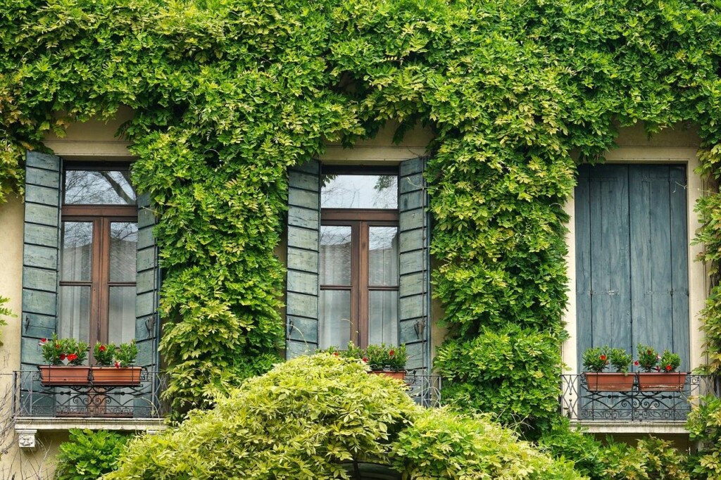 Jak zbudować dom ze słomy w zgodzie z naturą?